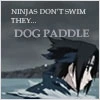 Doggie Paddle
