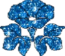 blue flower