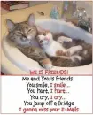 cat friends