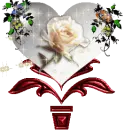 flower, rose