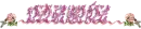 Djazaka Allah