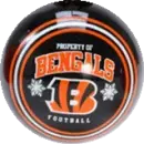 C BENGALS