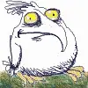 odd bird avatar