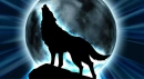 howling wolf