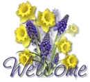 welcome