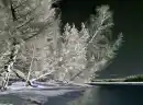 TÃ©l