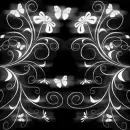 black and white butterfly backgrounds