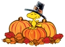 THANKSGIVING 