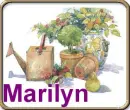 Marilyn