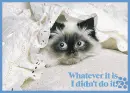 Whatever it is, I didn't do