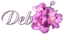 Deb