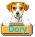 Dory