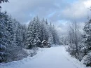 TÃ©l