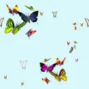 Multi butterflys
