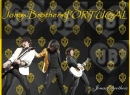 jonas brothers