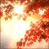 Fall