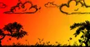 bush sunset background