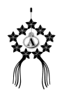  Anna's Black Lantern