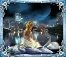 FANTASY NIGHT