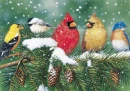 BIRDS