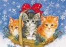 CHRISTMAS KITTENS