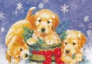 CHRISTMAS PUPS