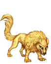 Gold wolf 