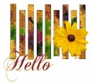 Hello