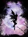 moon shadow fairy