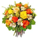 flower, rose