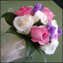 flower, rose