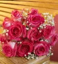 flower, rose
