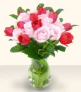 flower, rose
