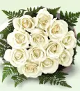 flower, rose