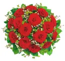 flower, rose