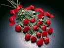 flower, rose