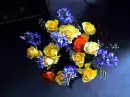 flower, rose