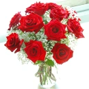 flower, rose