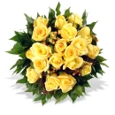 flower, rose