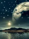 moonlights