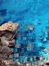 under the sea