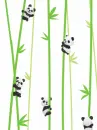 Cute Panda Bear