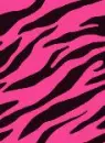 Pink zebra stripes