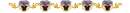 pansy divider
