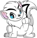  Xweetok