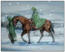 Horses in Nature