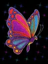 butterfly in the night