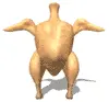 dancing uncooked turkey