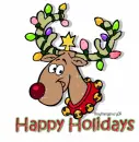 Happy Holidays