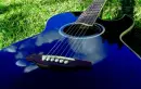 blue guitar